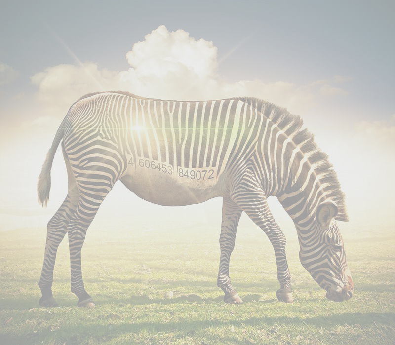 Cod de bare integrat artistic într-un produs